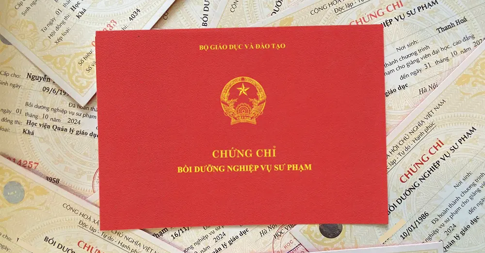 Để truy cập Zalo Mini App Giáo dục Linhna bạn vào Zalo, tại thanh tìm kiếm gõ Giáo dục Linhna