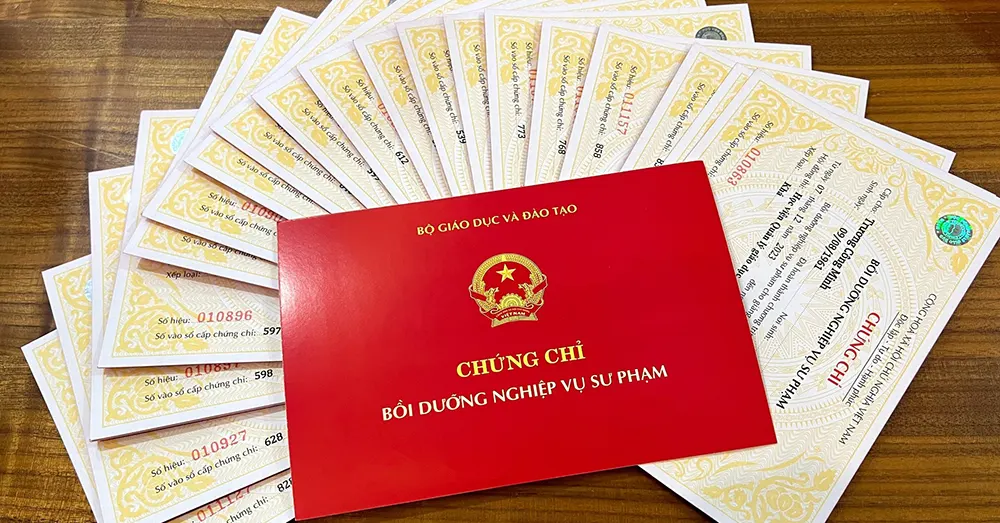 Để truy cập Zalo Mini App Giáo dục Linhna bạn vào Zalo, tại thanh tìm kiếm gõ Giáo dục Linhna