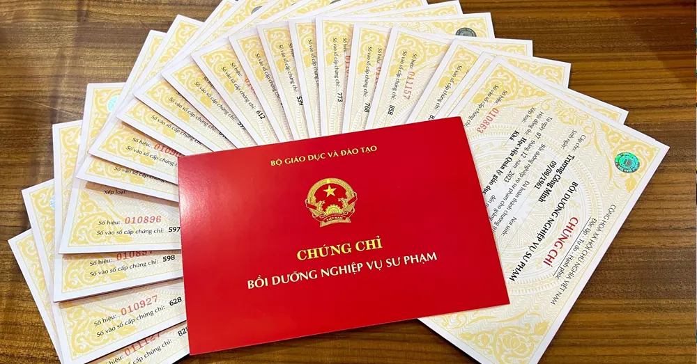 Muốn dạy Tin học, giáo viên cần có chứng chỉ sư phạm gì?