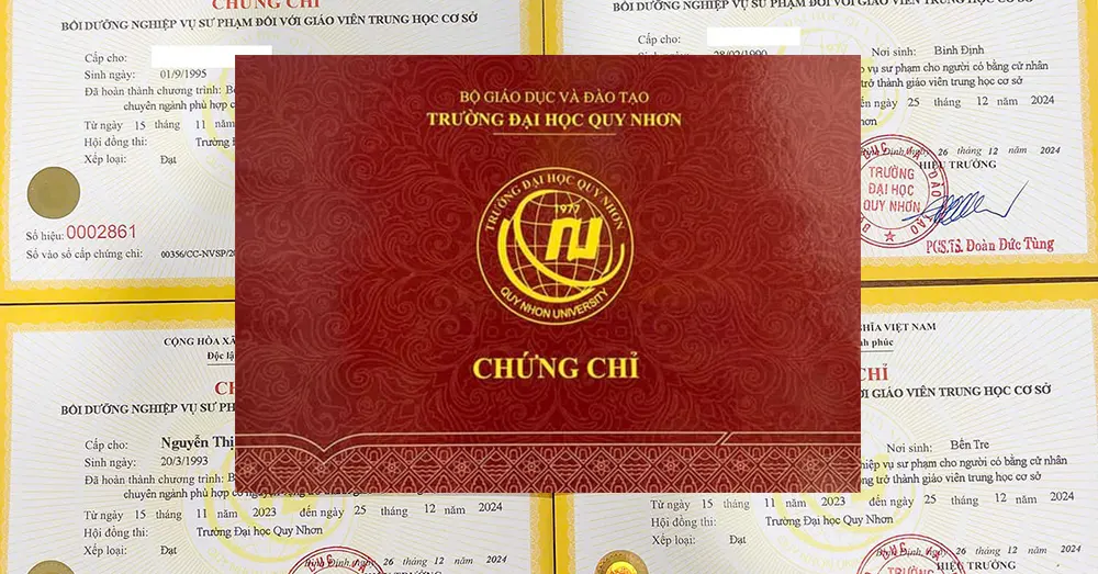 Để truy cập Zalo Mini App Giáo dục Linhna bạn vào Zalo, tại thanh tìm kiếm gõ Giáo dục Linhna