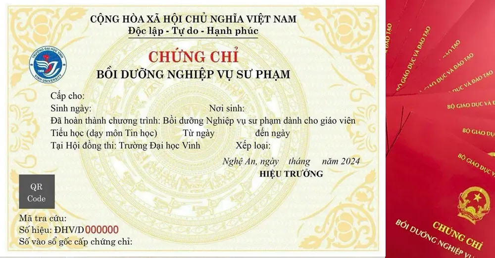 Để truy cập Zalo Mini App Giáo dục Linhna bạn vào Zalo, tại thanh tìm kiếm gõ Giáo dục Linhna