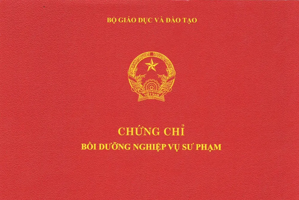 Mẫu mặt sau chứng chỉ nghiệp vụ sư phạm