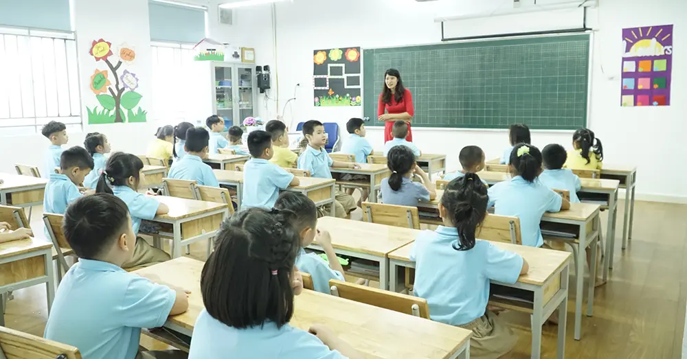 Sư phạm tiểu học cần chứng chỉ gì?