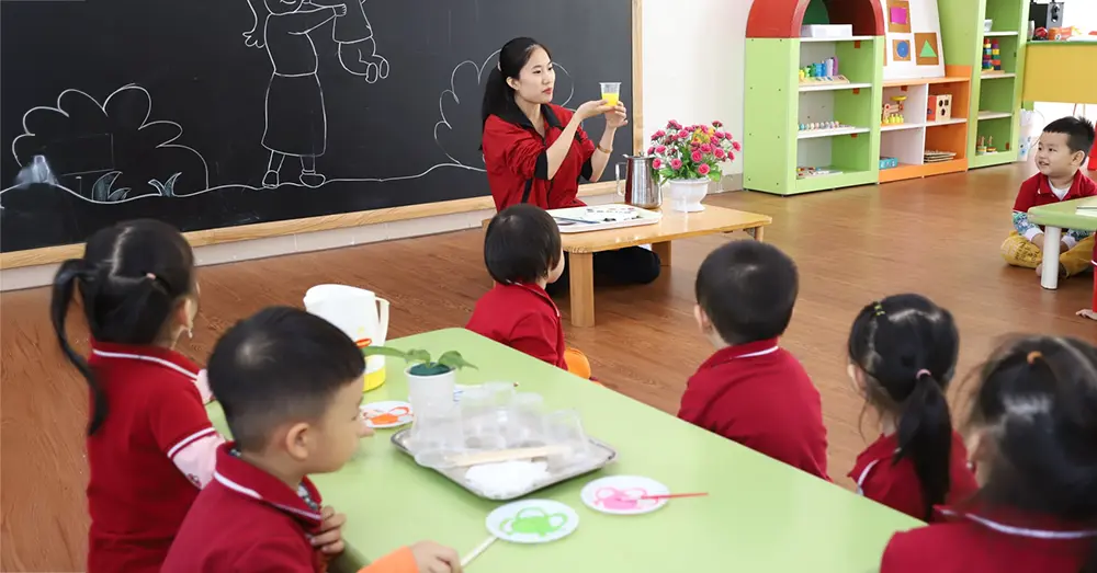 Chứng chỉ nghiệp vụ sư phạm mầm non do ai cấp?
