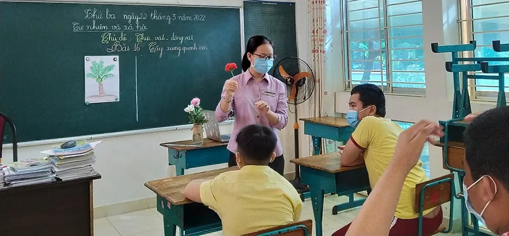 Quy định điều kiện cấp chứng chỉ, chứng nhận giáo dục đặc biệt