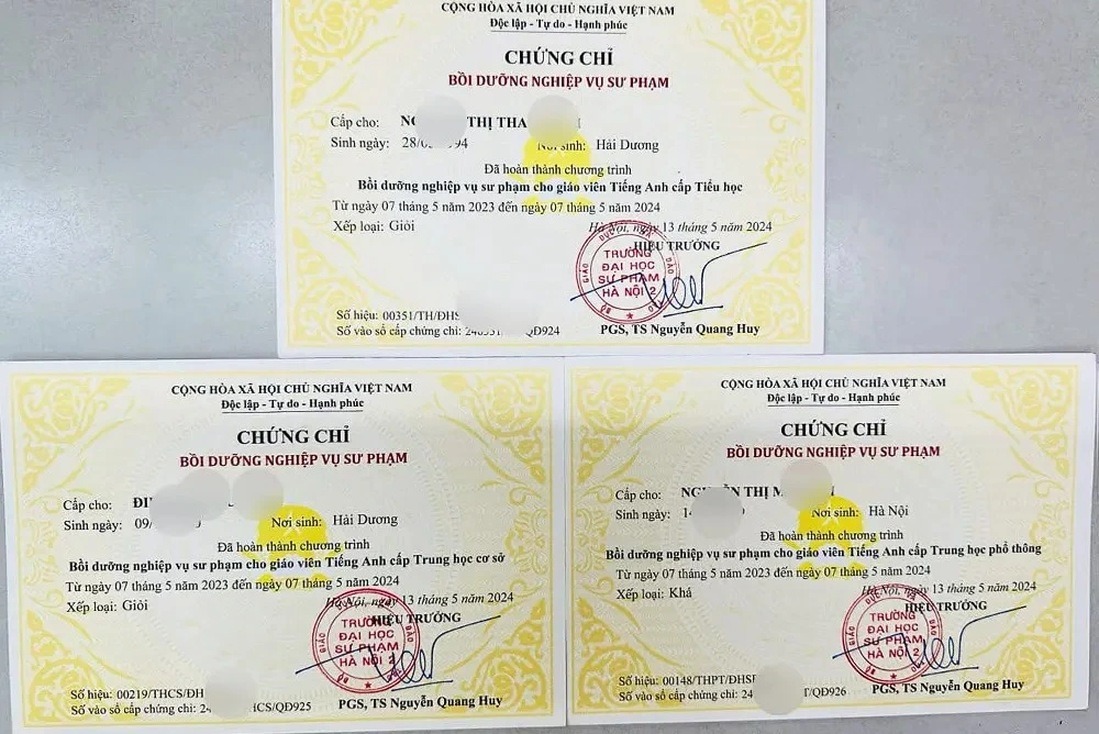 Để trở thành giáo viên tiếng Anh, cần có chứng chỉ nghiệp vụ sư phạm