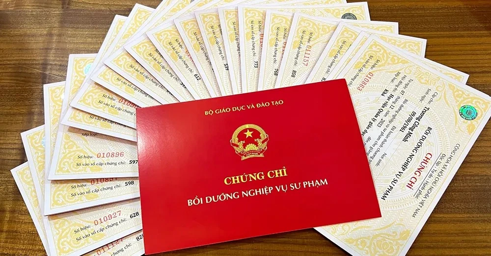 Giáo viên mầm non học trái ngành cần bổ sung chứng chỉ nghiệp vụ sư phạm