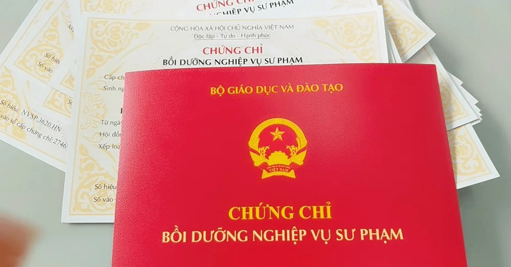 Các loại chứng chỉ nghiệp vụ sư phạm