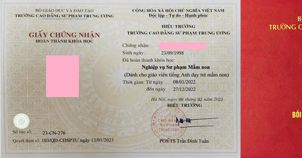 Khóa bồi dưỡng nghiệp vụ sư phạm mầm non dành cho giáo viên tiếng Anh 10/2026